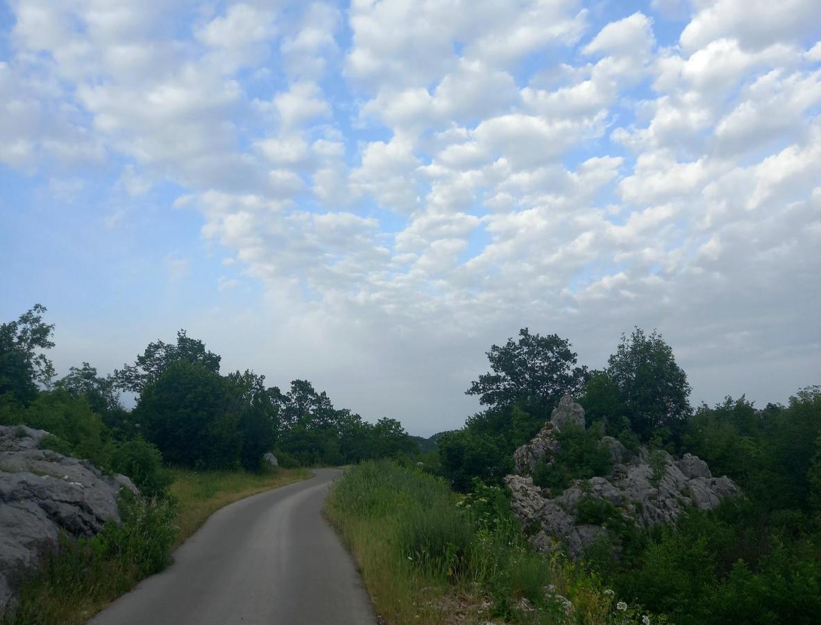 Konak Ugnji-Village Cetinje Exteriér fotografie