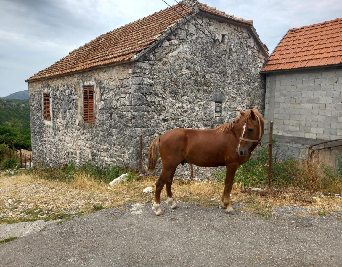 Konak Ugnji-Village Cetinje Exteriér fotografie