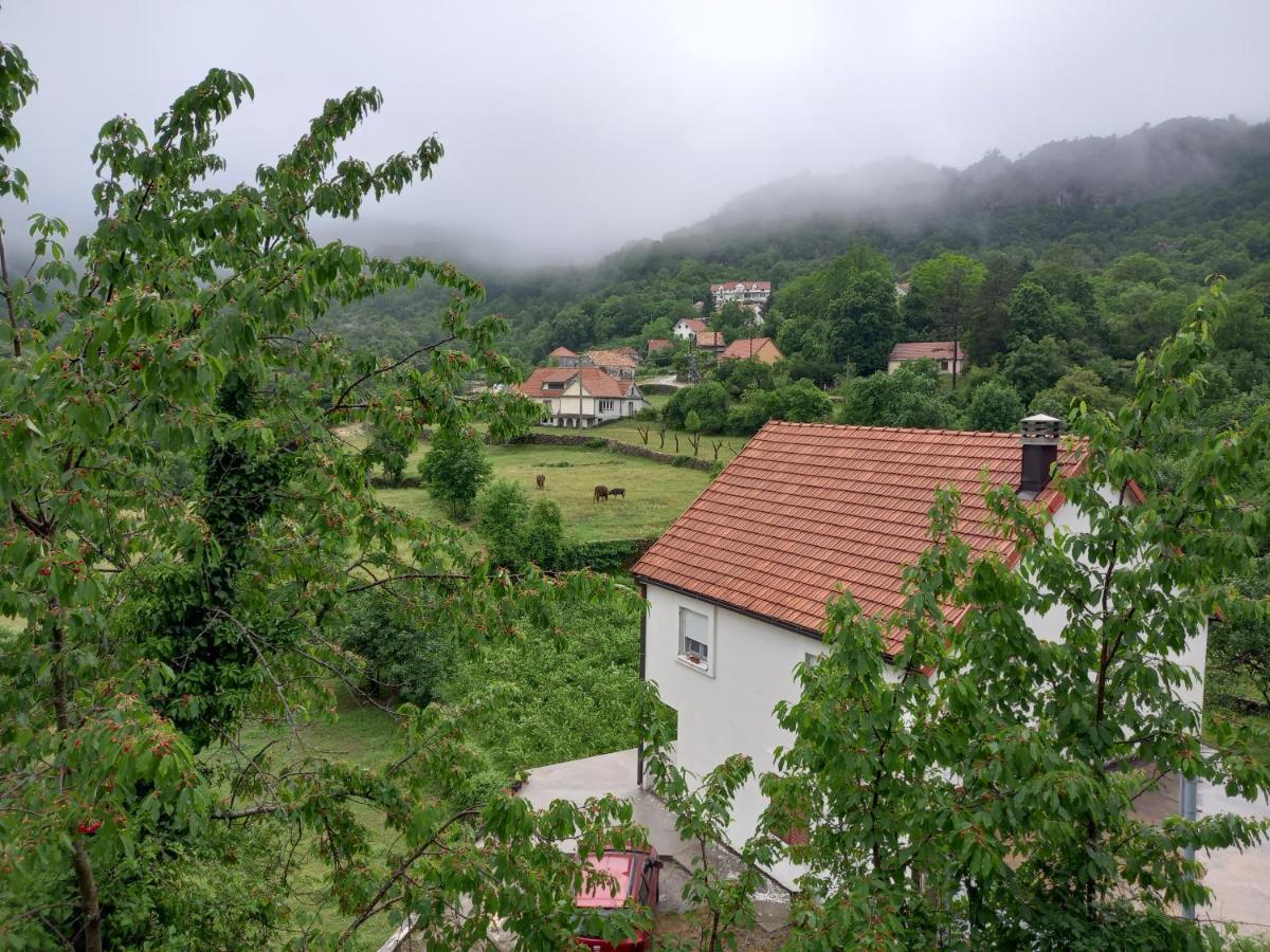 Konak Ugnji-Village Cetinje Exteriér fotografie