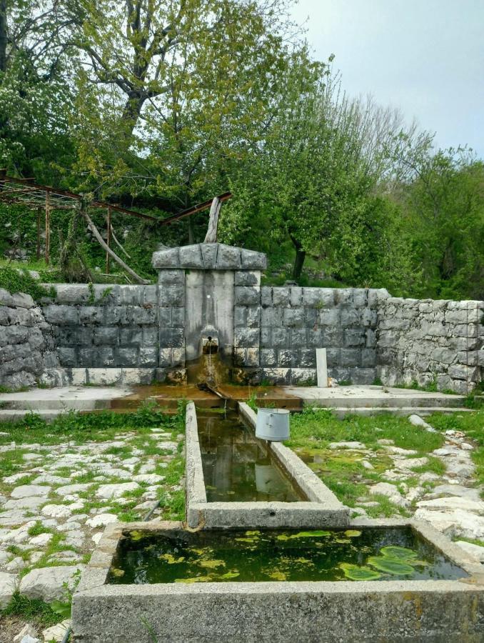 Konak Ugnji-Village Cetinje Exteriér fotografie