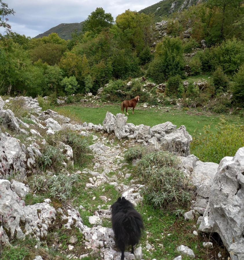 Konak Ugnji-Village Cetinje Exteriér fotografie