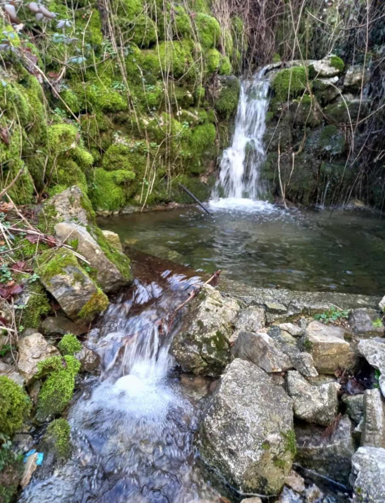 Konak Ugnji-Village Cetinje Exteriér fotografie