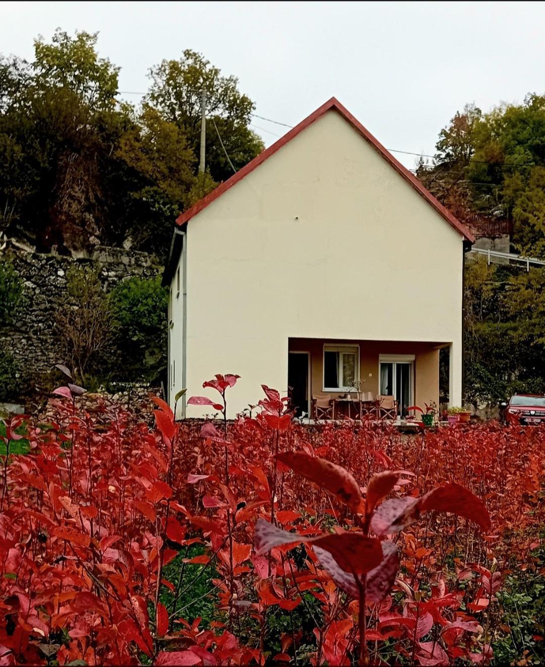 Konak Ugnji-Village Cetinje Exteriér fotografie